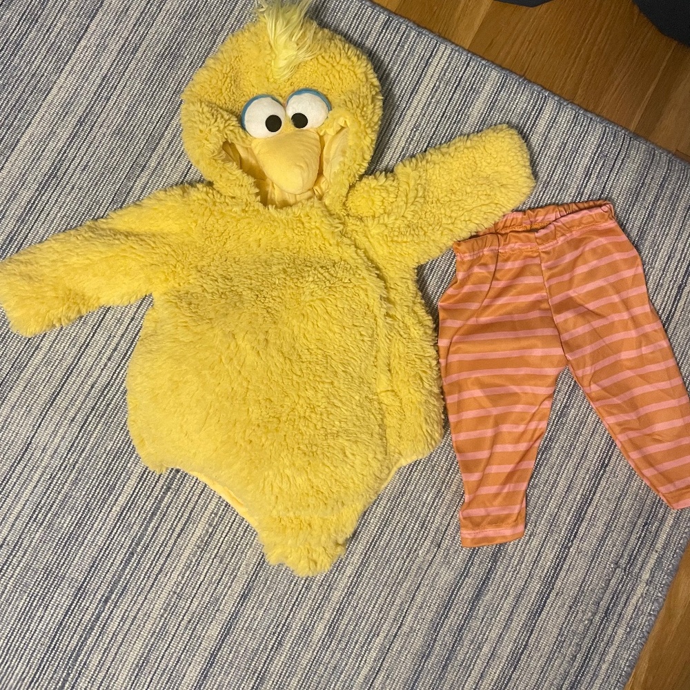 Pottery Barn Kids Big Bird Costume 6-12mo